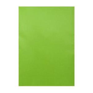 Carta regalo lucida 70x100  verde 5 fogli