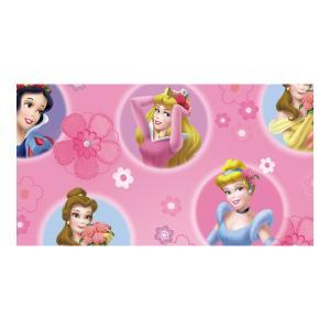 Carta regalo disney 70x100 principesse 5 fogli